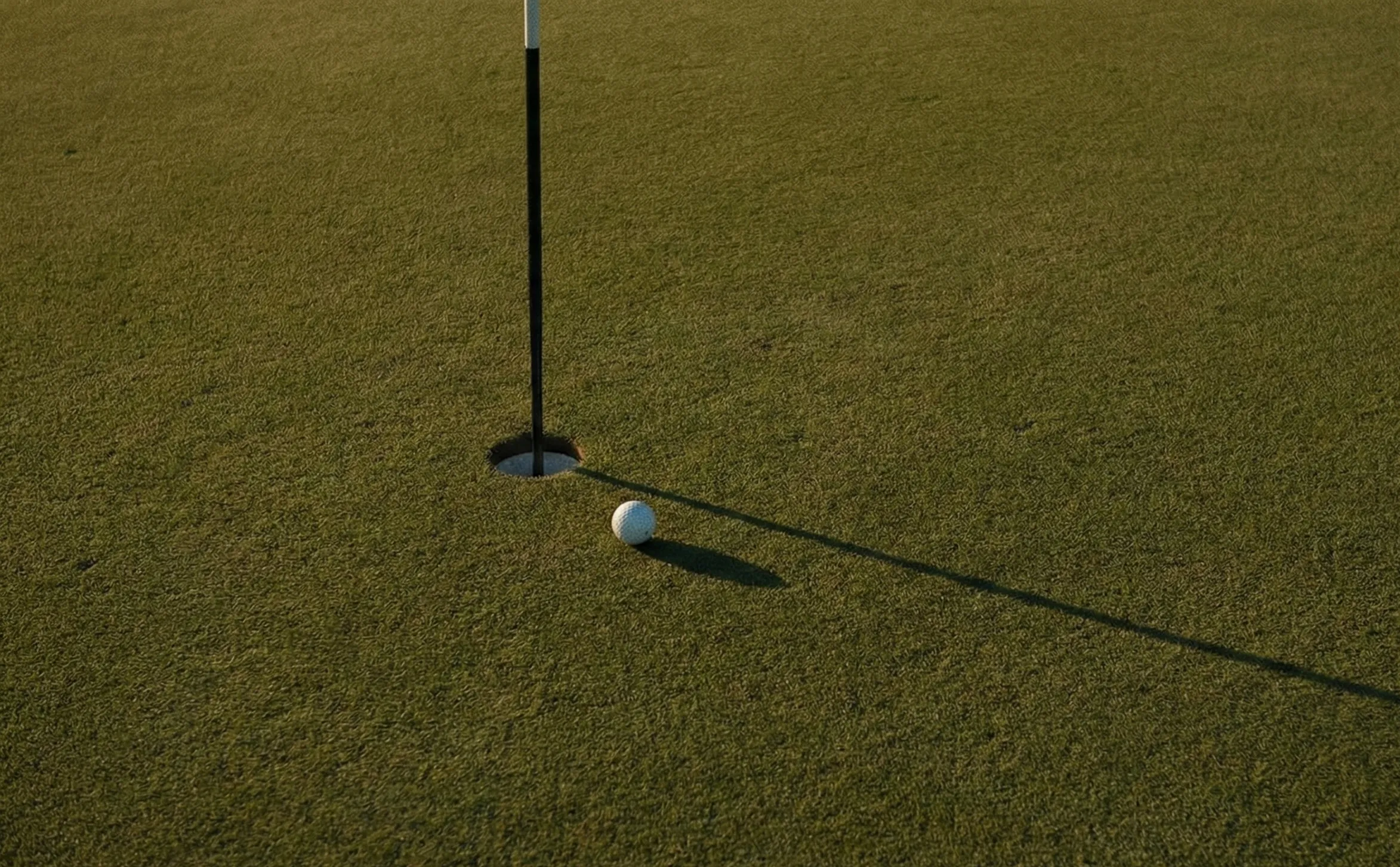 Sweet spot reference image of golf ball on putting green in late afternoon light