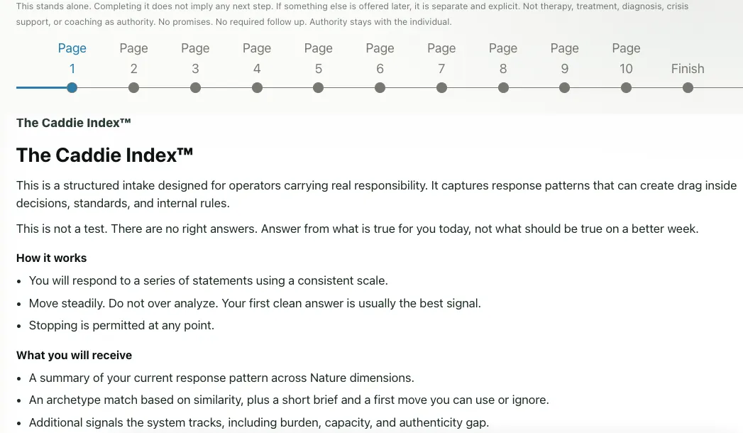 Preview of the Range Bucket working surface: The Caddie Index
